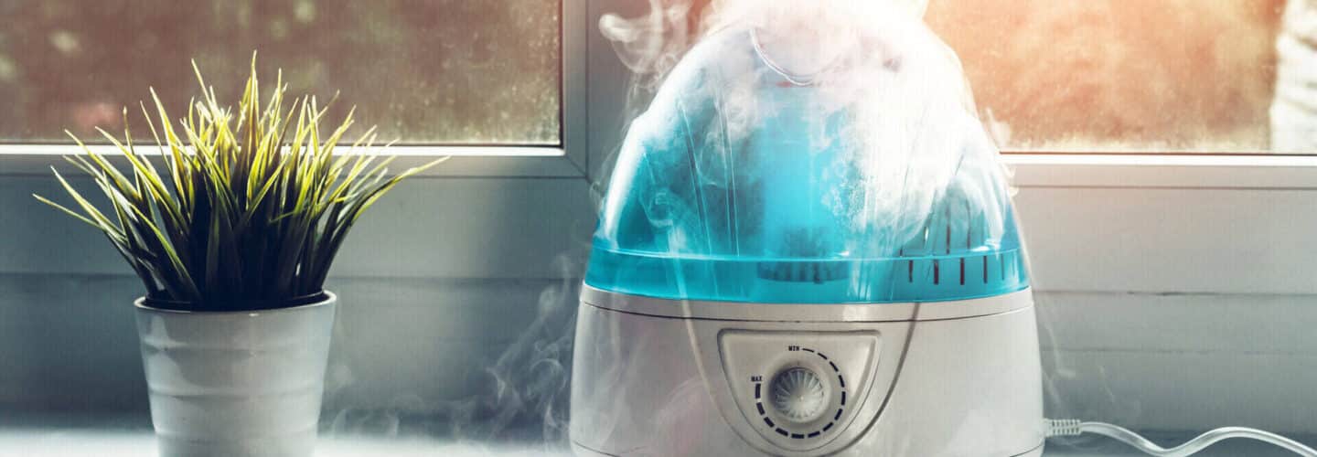 16 Best Plant Humidifiers in 2022 Reviews and Guide