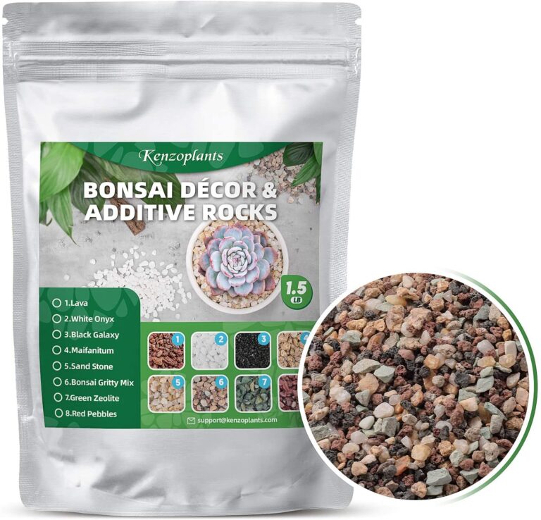 Best Soil for Succulents Top 5 Succulent Soils Reviewed