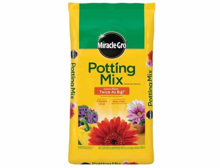 Best Soil for Flower Beds Top 4 Excellent Choices