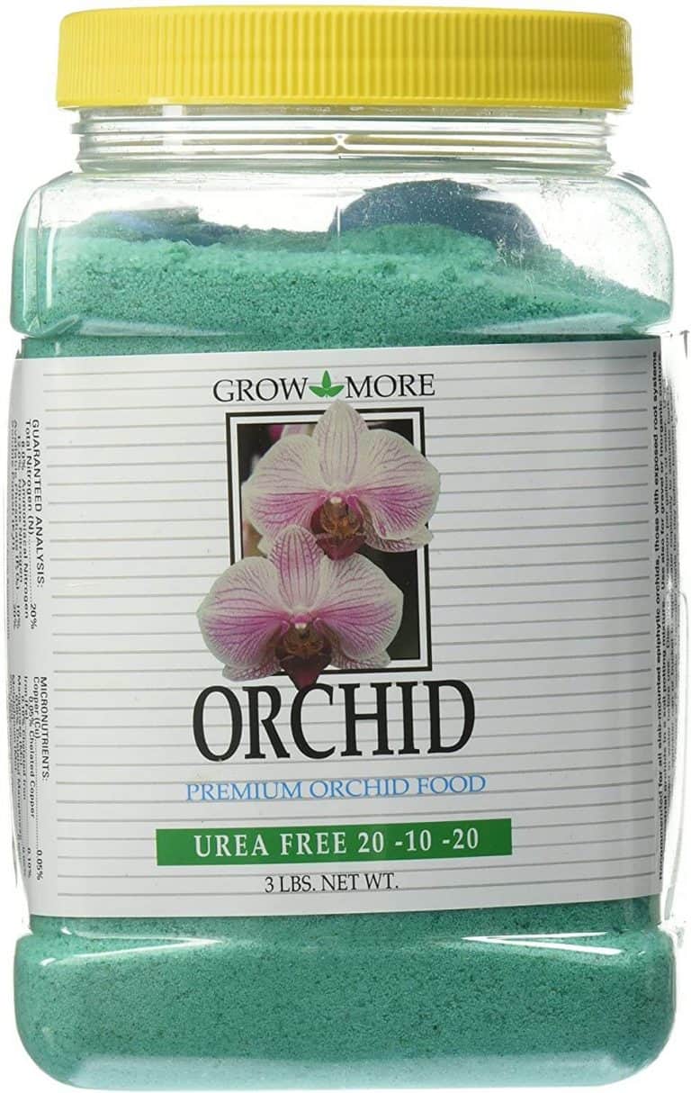 7 Best Azaleas Fertilizer of 2022 Review And Buying Guide Today's